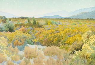 Appraisal: Gunnar Widforss - Desert Arizona watercolor on paper inchesAspens Kaibab