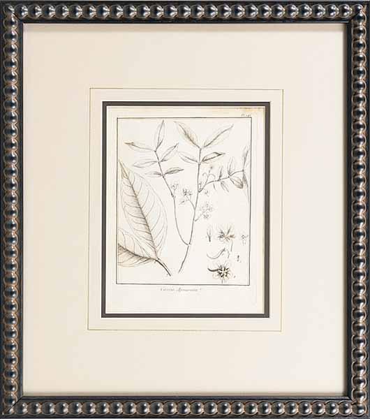 Appraisal: After Jean-Baptiste-Christian Fus e-Aublet French - Eight Botanical Engravings from