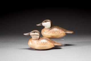 Appraisal: Ruddy Duck Pair by Delbert Cigar Daisey b Ruddy Duck