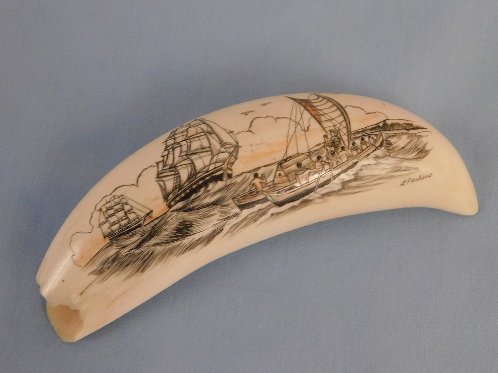 Appraisal: WHALE TOOTH SIGNED PERKINS Small scrimshaw whale tooth with colored