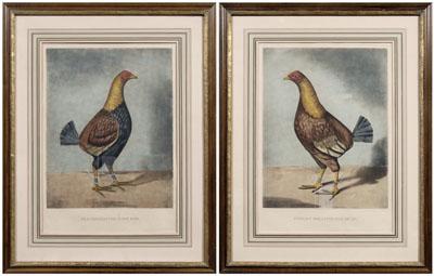 Appraisal: Two fighting cock engravings quot Streaky Breasted Red Dunn quot