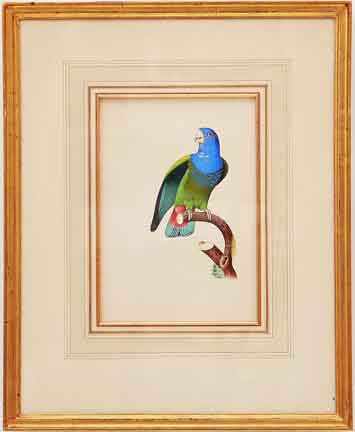 Appraisal: American school late th early th century FOUR WORKS PARROTS