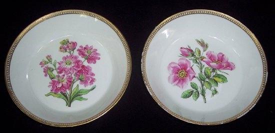 Appraisal: Two Marcolini Meissen botanical saucers circa - cm diameter marks