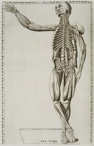 Appraisal: EUSTACHI BARTOLOMMEO Tabulae anatomicae editio Romana altera Engraved frontispiece portrait