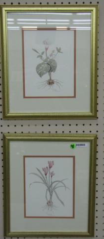 Appraisal: Pair of Bertrand Limited Edition Botanical Prints depicting floral subjects