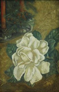 Appraisal: HYDE Helen Oil on Board White Rose Signed lower left