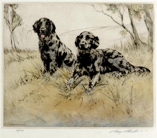 Appraisal: Henry Wilkinson British th century FLATCOAT RETRIEVERScolored etching framed signed