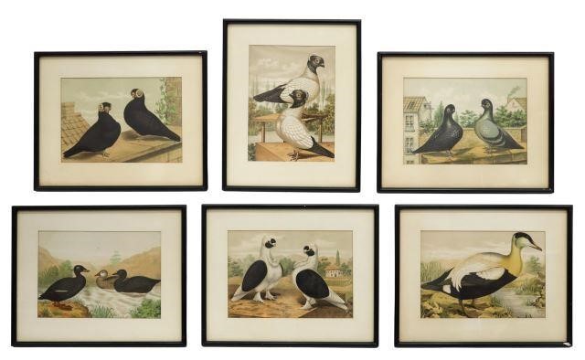 Appraisal: lot of Framed lithographs on paper plates from an ornithology