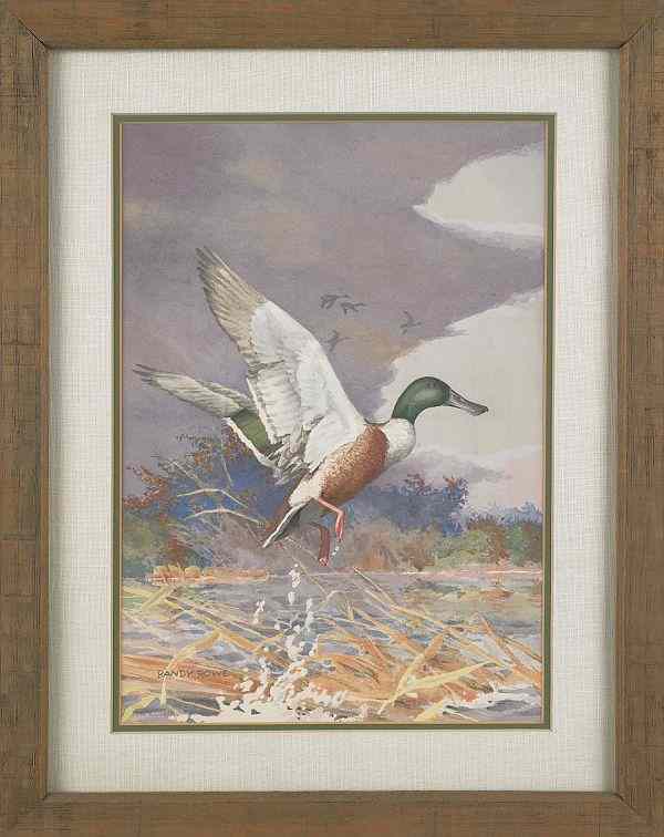 Appraisal: J Randolph Rowe American - watercolor of a duck taking