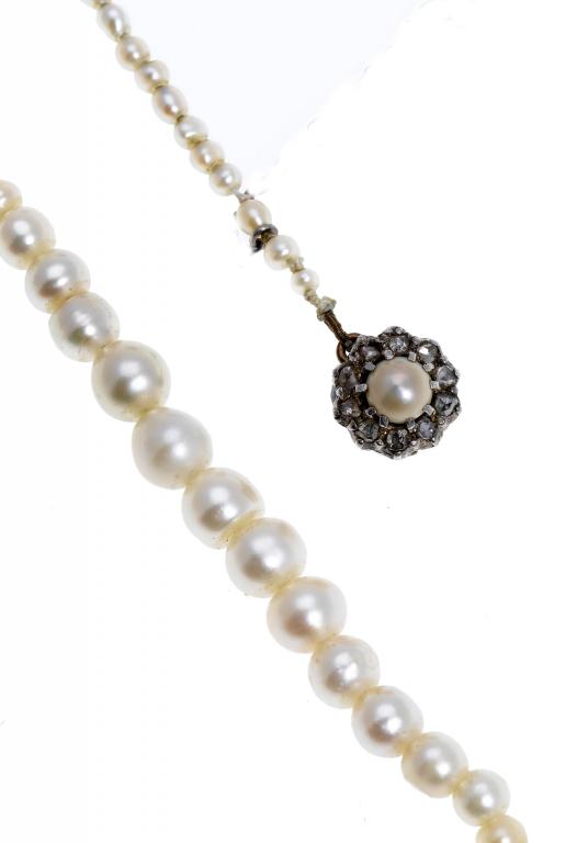 Appraisal: A PEARL UNTESTED SINGLE ROW NECKLACE graduated in size from