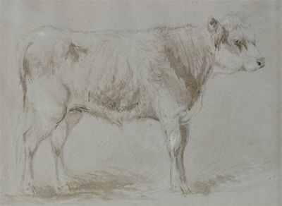 Appraisal: Thomas Sidney Cooper R A - Study of a cow