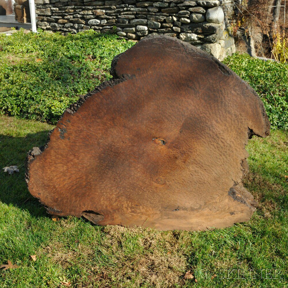 Appraisal: Massive Burl Slab Asia hardwood a light coat of lacquer