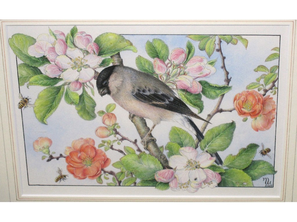 Appraisal: MARGARET WALTY Acrylic 'Bullfinch' monogrammed recto and labelled verso