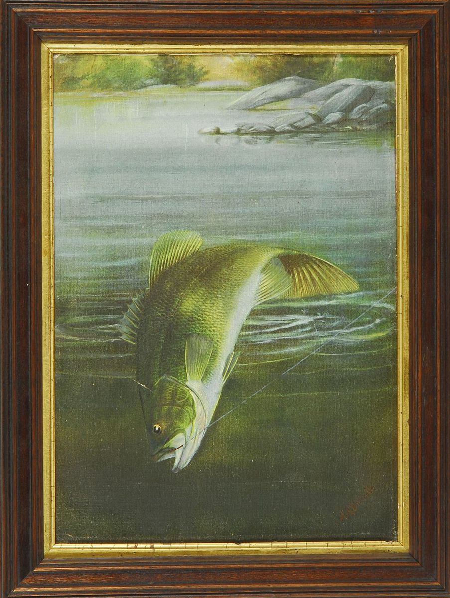 Appraisal: FRAMED PAINTING th CenturySmallmouth bass taking a fly Signed lower