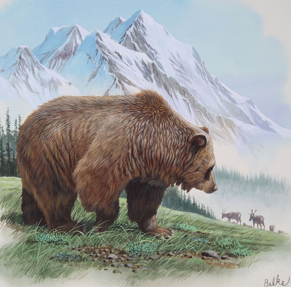 Appraisal: Don Balke B Alaska Brown Bear Don Balke North Carolina