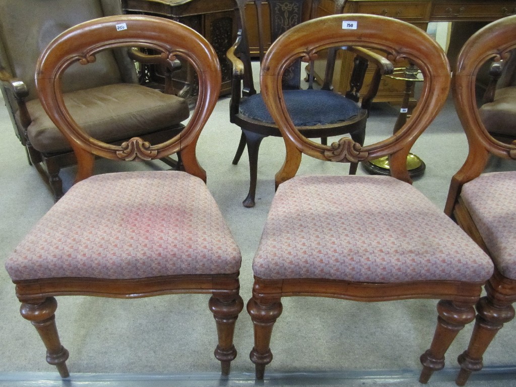 Appraisal: Set of five Victorian balloon back dining chairs