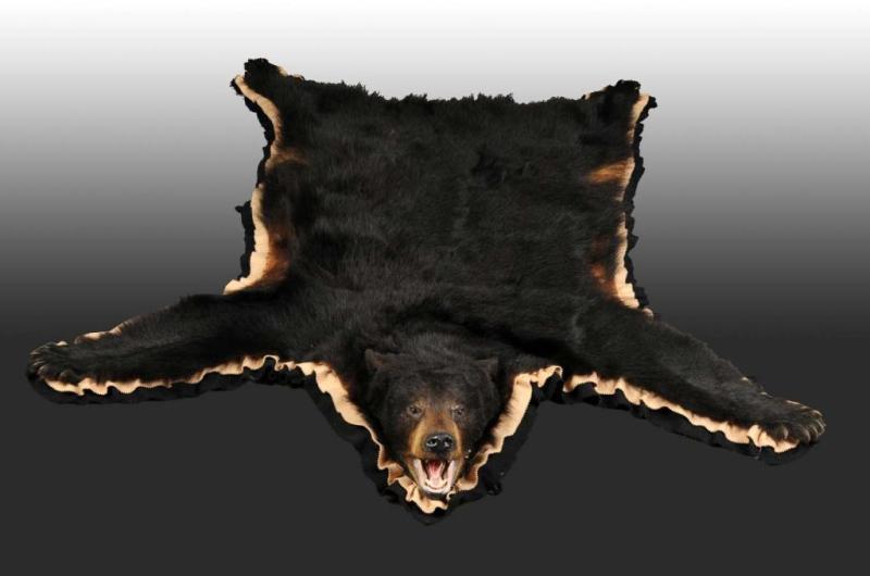 Appraisal: Pennsylvania Black Bear Rug Condition Very Good Size x