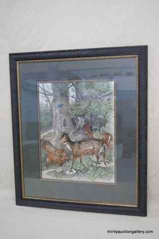 Appraisal: Friedrich Specht Giclee Print Axis DeerBy English artist Friedrich Specht