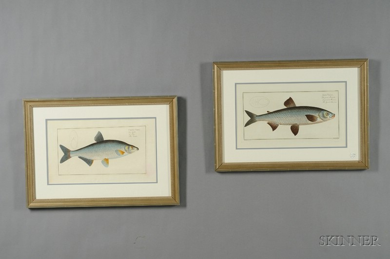 Appraisal: Four Decorative French Hand-colored Etchings of Fish by M E