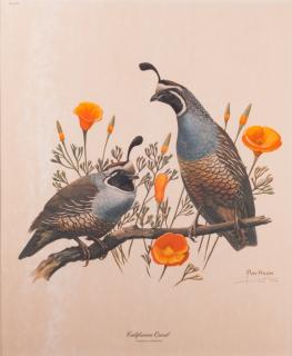 Appraisal: Ray Harm California Quail Signed Print Matted and framed under