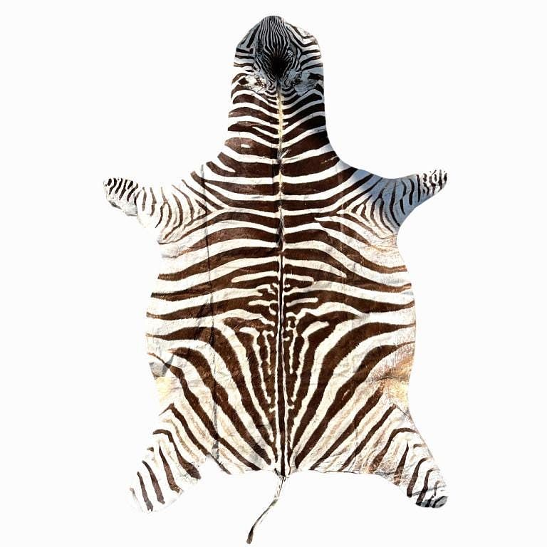 Appraisal: Zebra Skin Rug Zebra Skin Rug Measures Inches high x