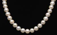 Appraisal: CULTURED PEARL NECKLACE Beautiful cultured pearl necklace is l and