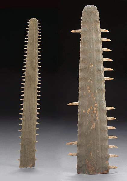 Appraisal: Two Giant Sawfish Rostra Pristis microdon Pristis pectinata Modern Philippines