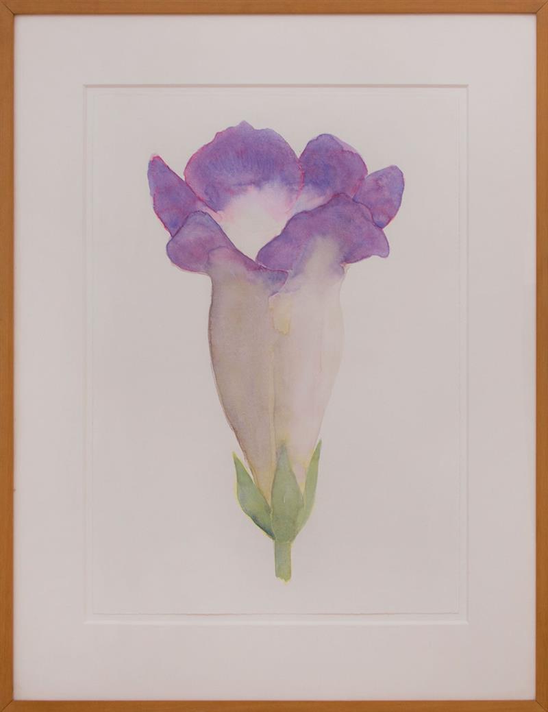 Appraisal: GREG HULL b GLOXINIA Watercolor on paper presumably signed on