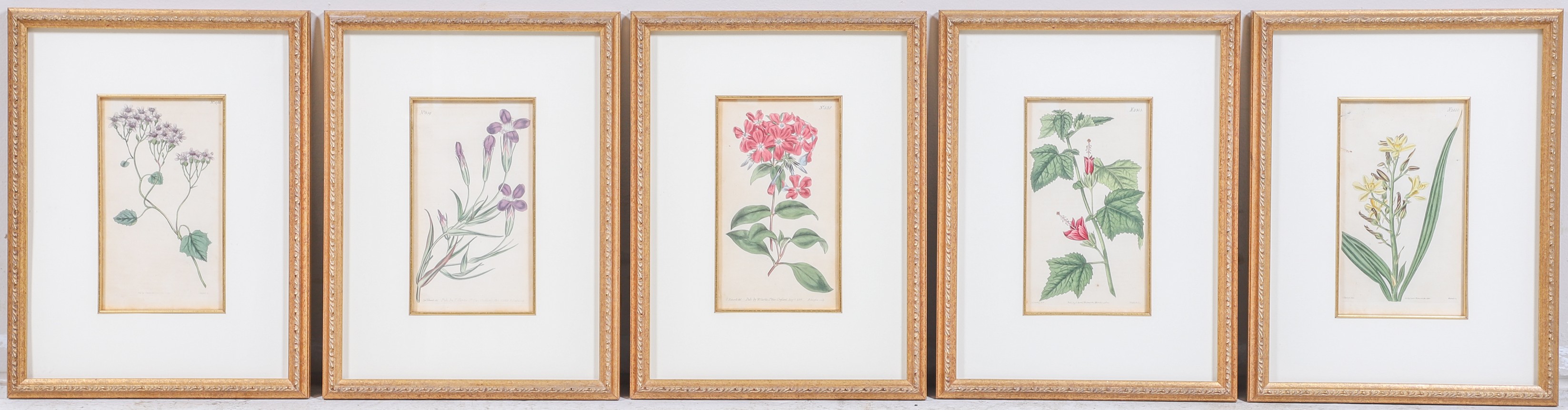 Appraisal: Hand Colored Botanical Prints engravings with hand coloring mounted in