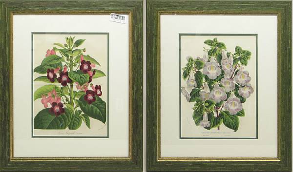 Appraisal: A set of eight Dutch framed colored botanical prints framed