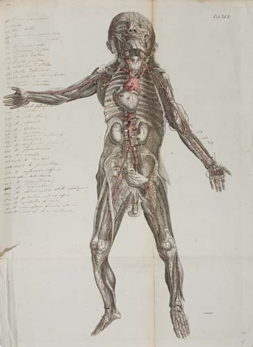 Appraisal: LODER JUSTUS CHRISTIAN Tabulae anatomicae quas ad illustrandam humani corporis