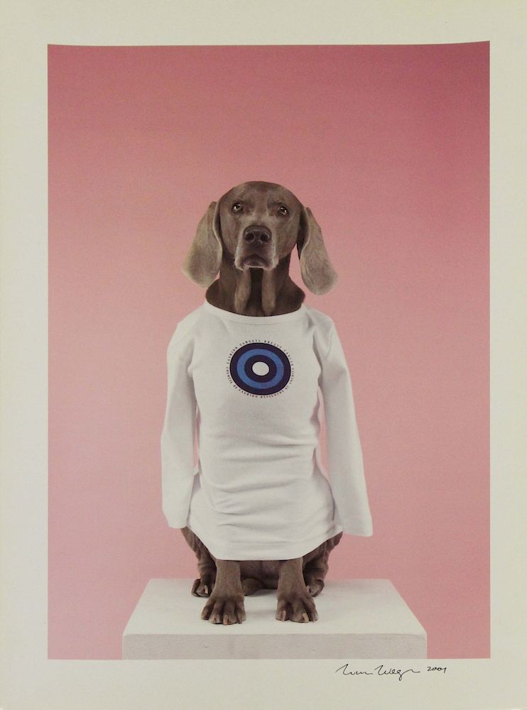 Appraisal: WEGMAN William Photograph Weimaraner Signed and dated lower right William