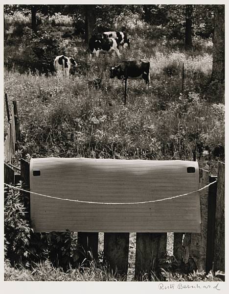 Appraisal: Ruth Bernhard American - Wisconsin Meadow Gelatin silver printed printed