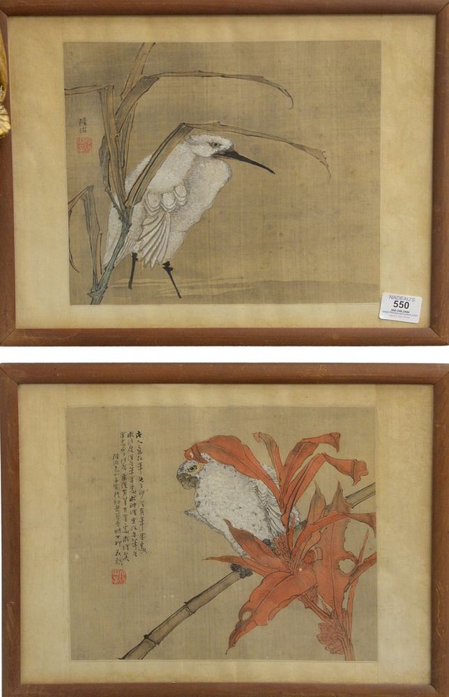 Appraisal: Two Chinese Watercolors on Silk to include a white parrot