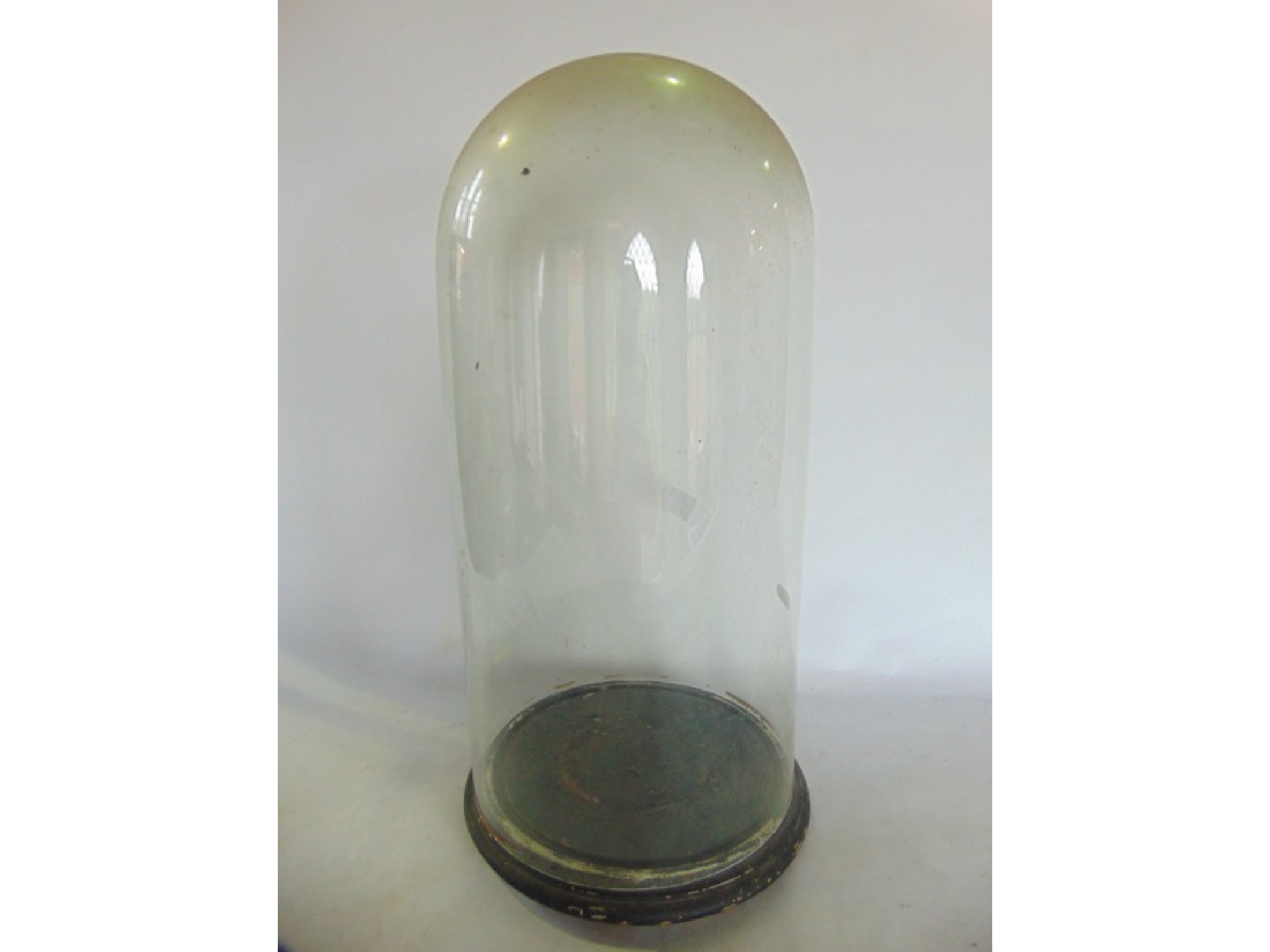 Appraisal: A tall clear glass taxidermy presentation dome raised on a