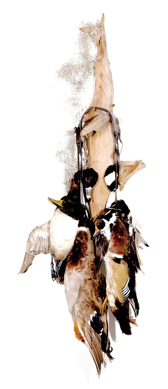 Appraisal: Taxidermied ducks on sling two wood ducks one mallard one