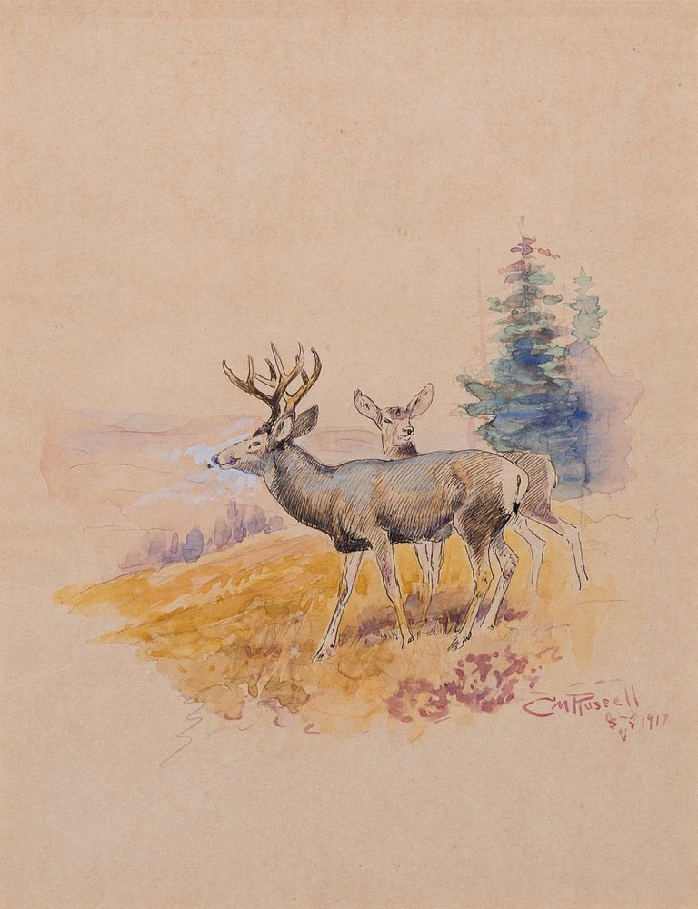 Appraisal: Charles M Russell Deer Charles M Russell Deer watercolor on