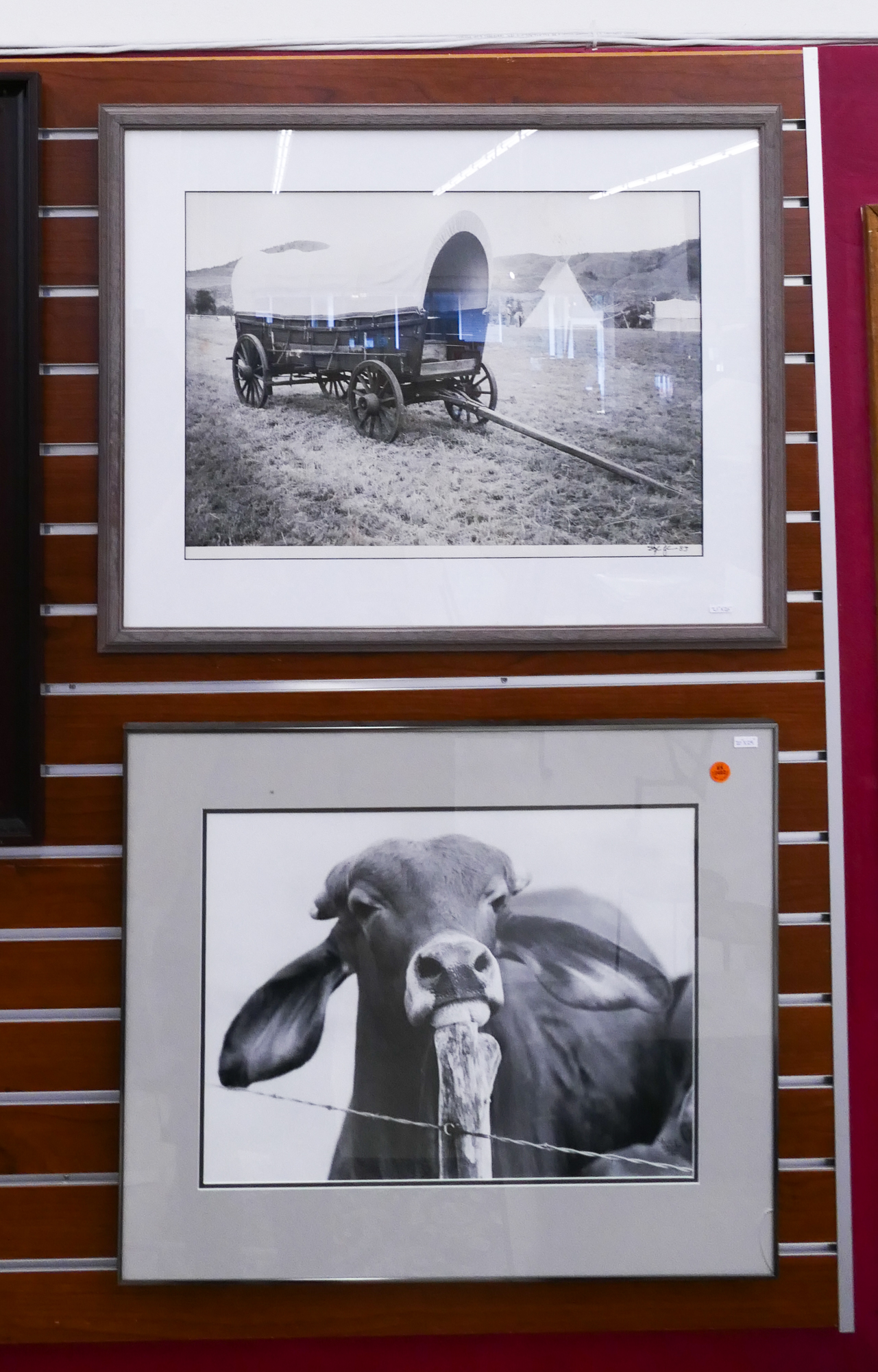 Appraisal: pc Western Silver Gelatin Photographs- Steve Snyder Etc - Framed-