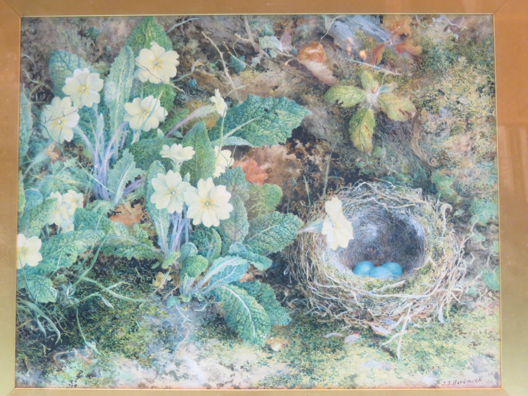 Appraisal: John Jessop Hardwick - - watercolour a nest with eggs