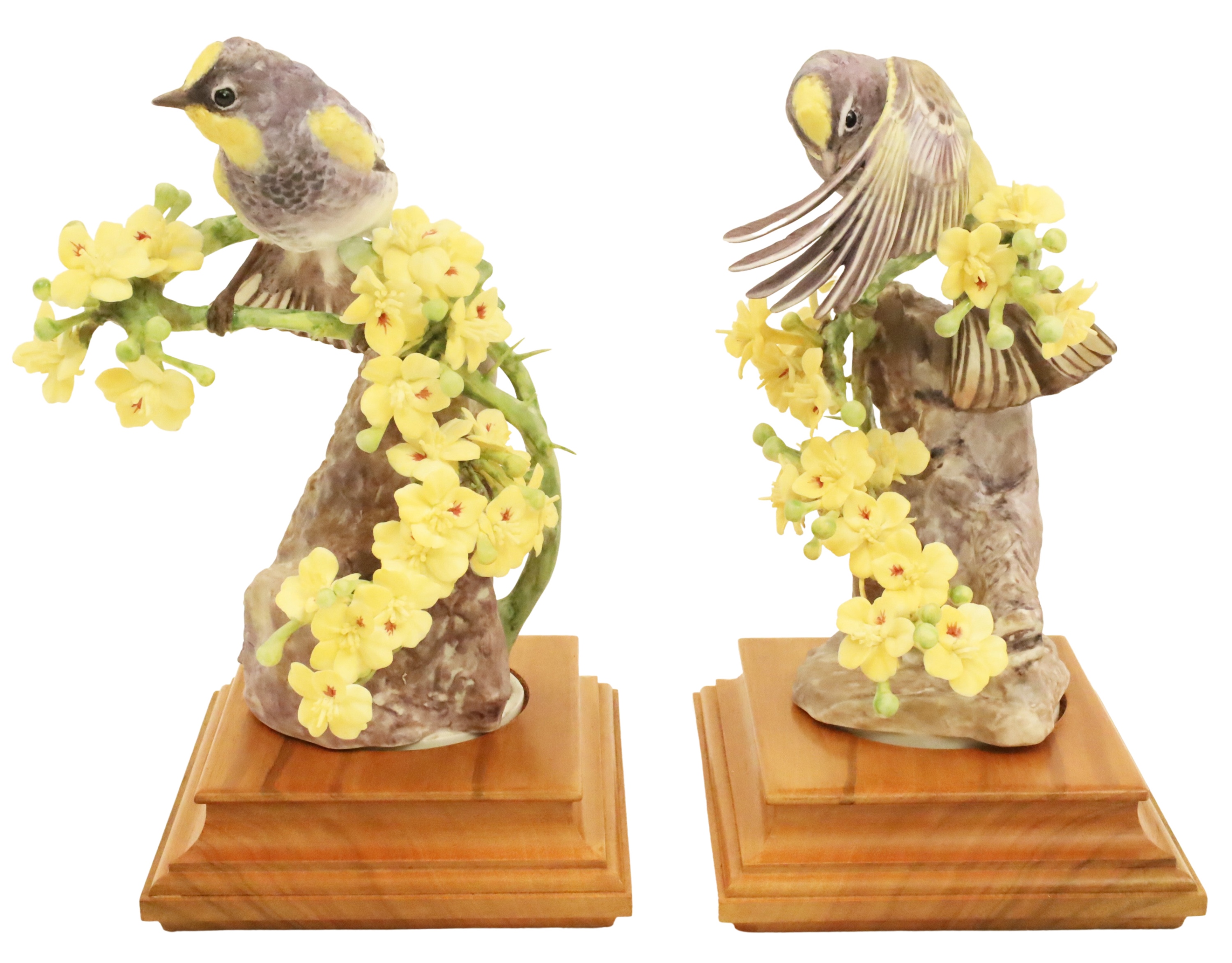 Appraisal: AUDUBON WARBLERS BY DOROTHY DOUGHTY Pair of porcelain models of