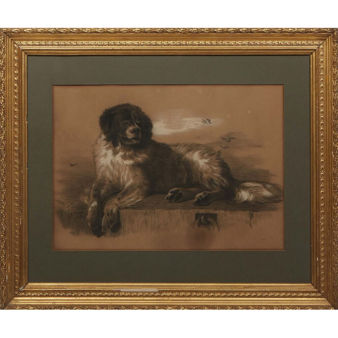 Appraisal: K L Gowe British Portrait of a Dog charcoal on