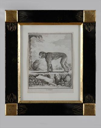 Appraisal: FRENCH SCHOOL FOUR MONKEY PRINTS Engravings on paper x in