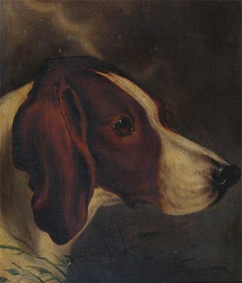 Appraisal: English school Late th Century Study of a hound Oil