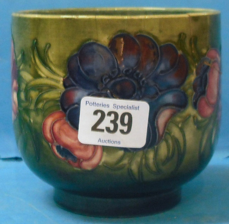 Appraisal: Moorcroft Vase decorated in the Anemone design height cm cm