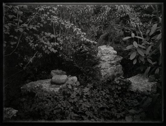 Appraisal: Josef Sudek - Untitled from A Walk in the Magic