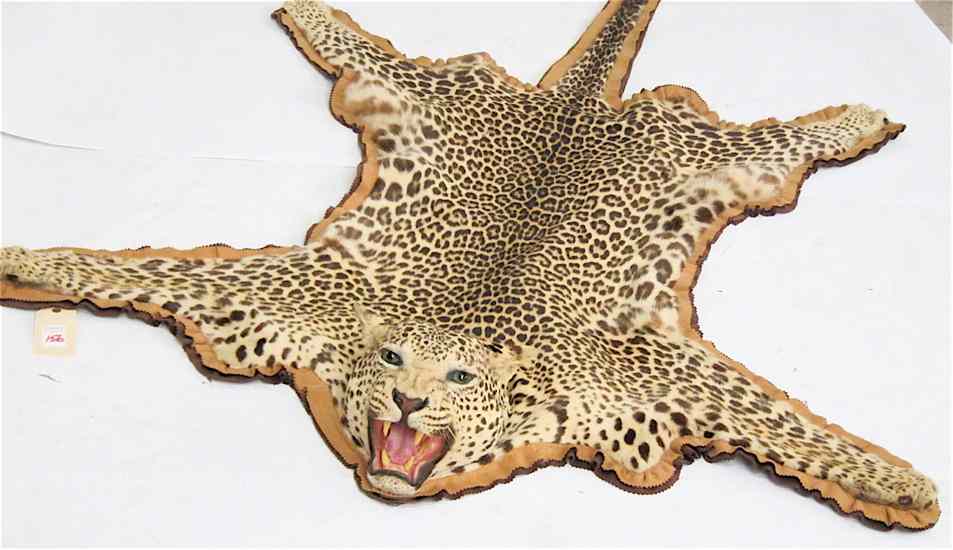 Appraisal: LEOPARD SKIN RUG taken by John Egbert South Karamoja Uganda