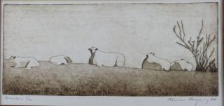 Appraisal: Clement Ramesey Am Th C Charolais Engraving And Aquatint- Sheep