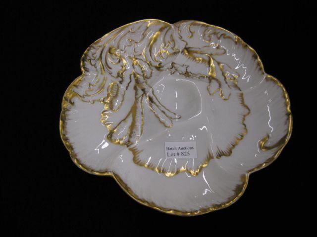 Appraisal: Haviland Limoges Porcelain Oyster Plate gold coral motif excellent