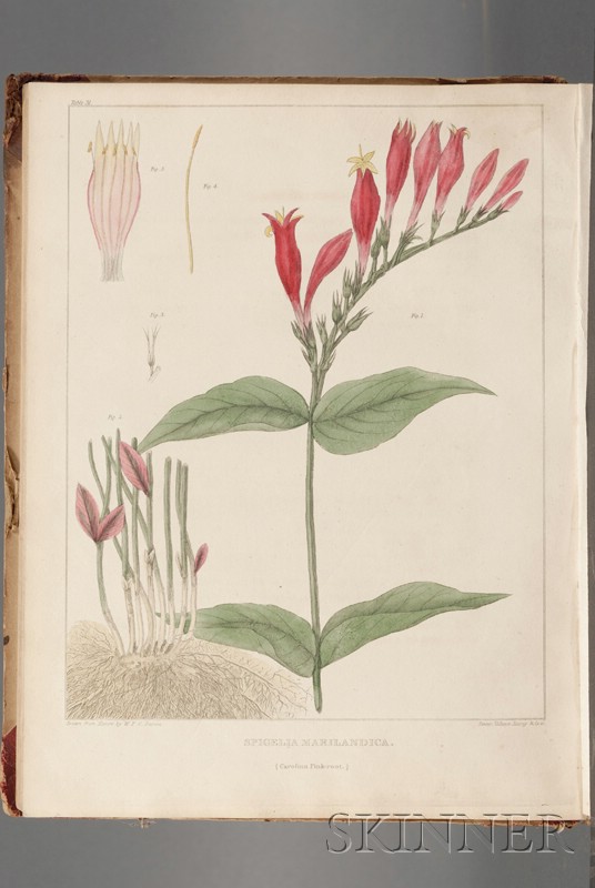 Appraisal: Botanical Illustration Medicine Barton William P C Presentation Copy Vegetable