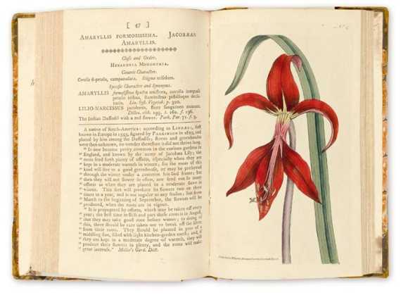 Appraisal: Curtis William The botanical Magazine or Flower-Garden displayed In which